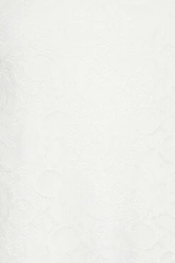 M&Co White Lace Top 11 M&Co White Lace Top -M&Co Sales Store 92765125 7d9a 41 550687 Z scaled