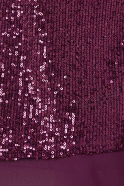 M&Co Dark Purple Sequin Tie Back Top 11 M&Co Dark Purple Sequin Tie Back Top -M&Co Sales Store 959ee48b f2fb 43 550036 Z scaled