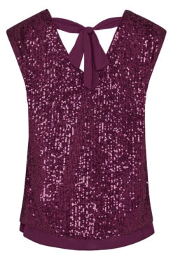 M&Co Dark Purple Sequin Tie Back Top 13 M&Co Dark Purple Sequin Tie Back Top -M&Co Sales Store a5177f5b 0ae8 4e 550036 Y scaled