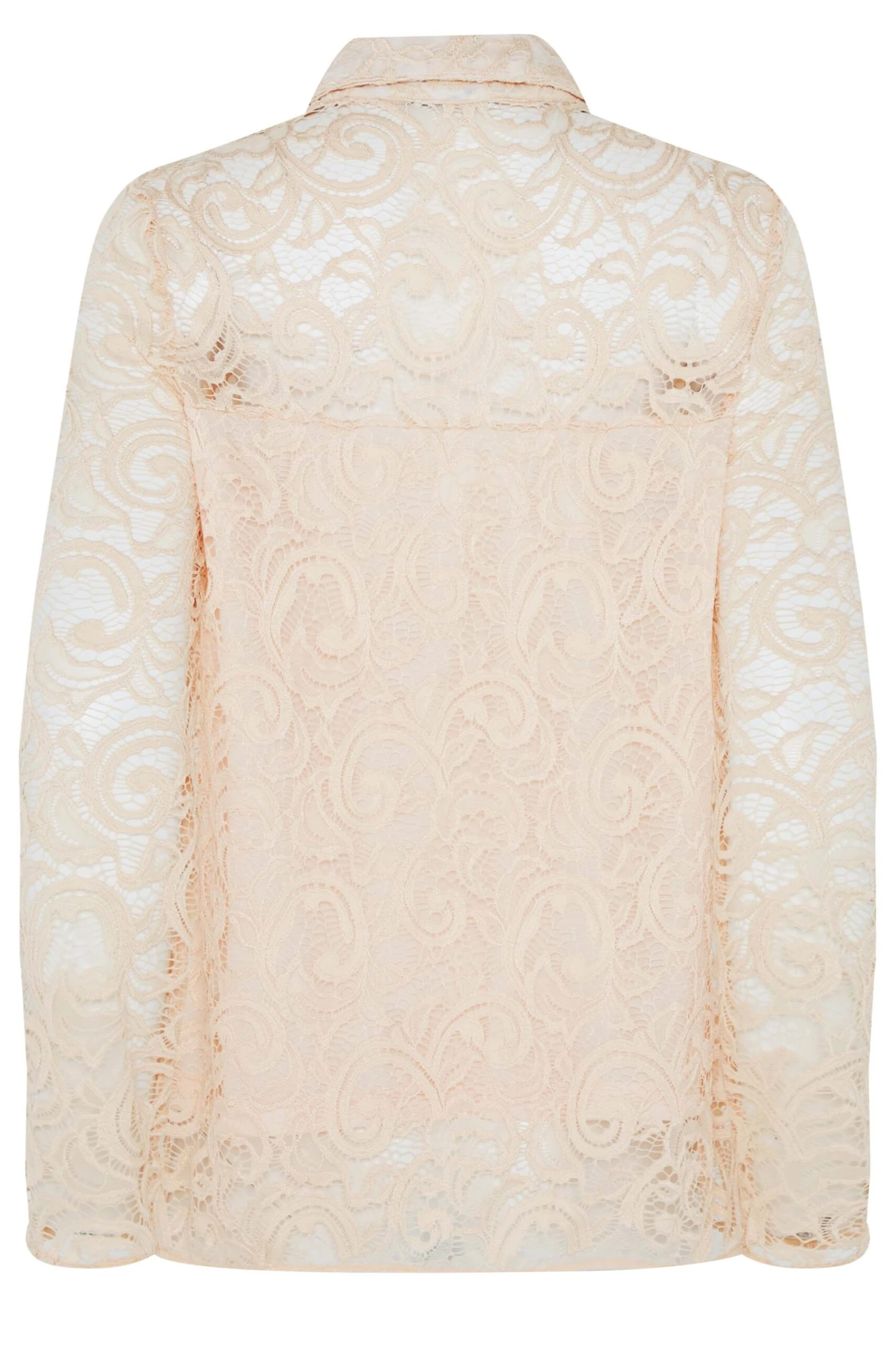 M&Co Nude Pink Lace Shirt 7 M&Co Nude Pink Lace Shirt - Image 7