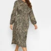 M&Co Brown Leopard Print Midaxi Shirt Dress