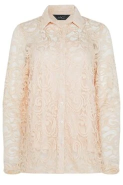 M&Co Nude Pink Lace Shirt 12 M&Co Nude Pink Lace Shirt -M&Co Sales Store c9896bac b12a 42 550067 X scaled
